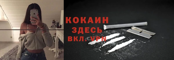 крисы Богданович
