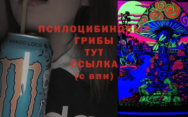 крисы Богданович