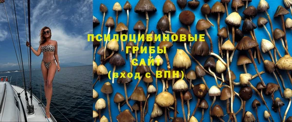 крисы Богданович