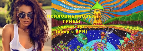 каннабис Богородицк