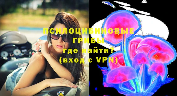 крисы Богданович