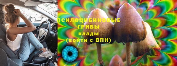 каннабис Богородицк