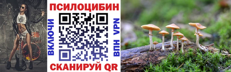 Псилоцибиновые грибы ЛСД  mega маркетплейс  Кущёвская 