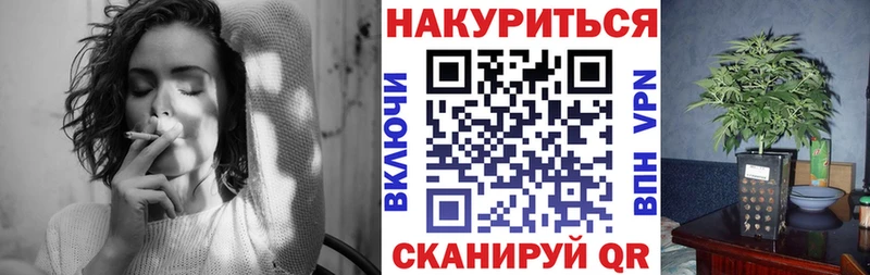 Бошки марихуана сатива  Кущёвская 